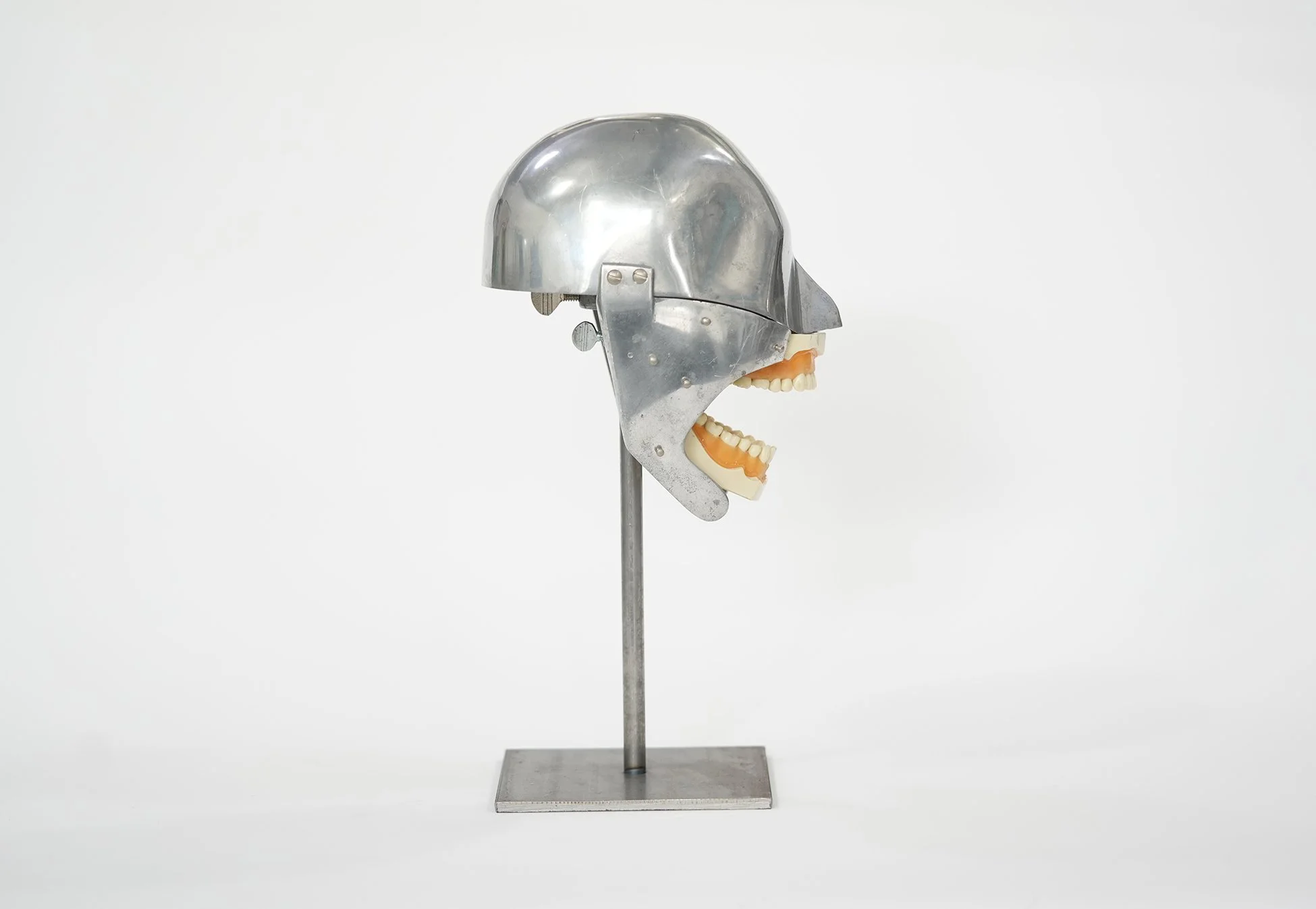 1950's Dental Phantom with Shroud Pins — AGENT GALLERY CHICAGO